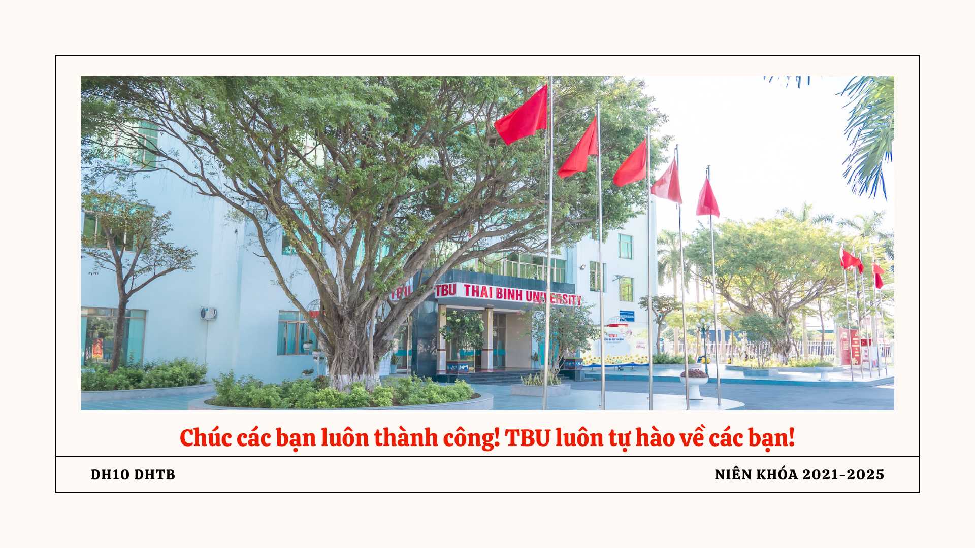 11 GƯƠNG MẶT RỰC RỠ NĂM 2025 